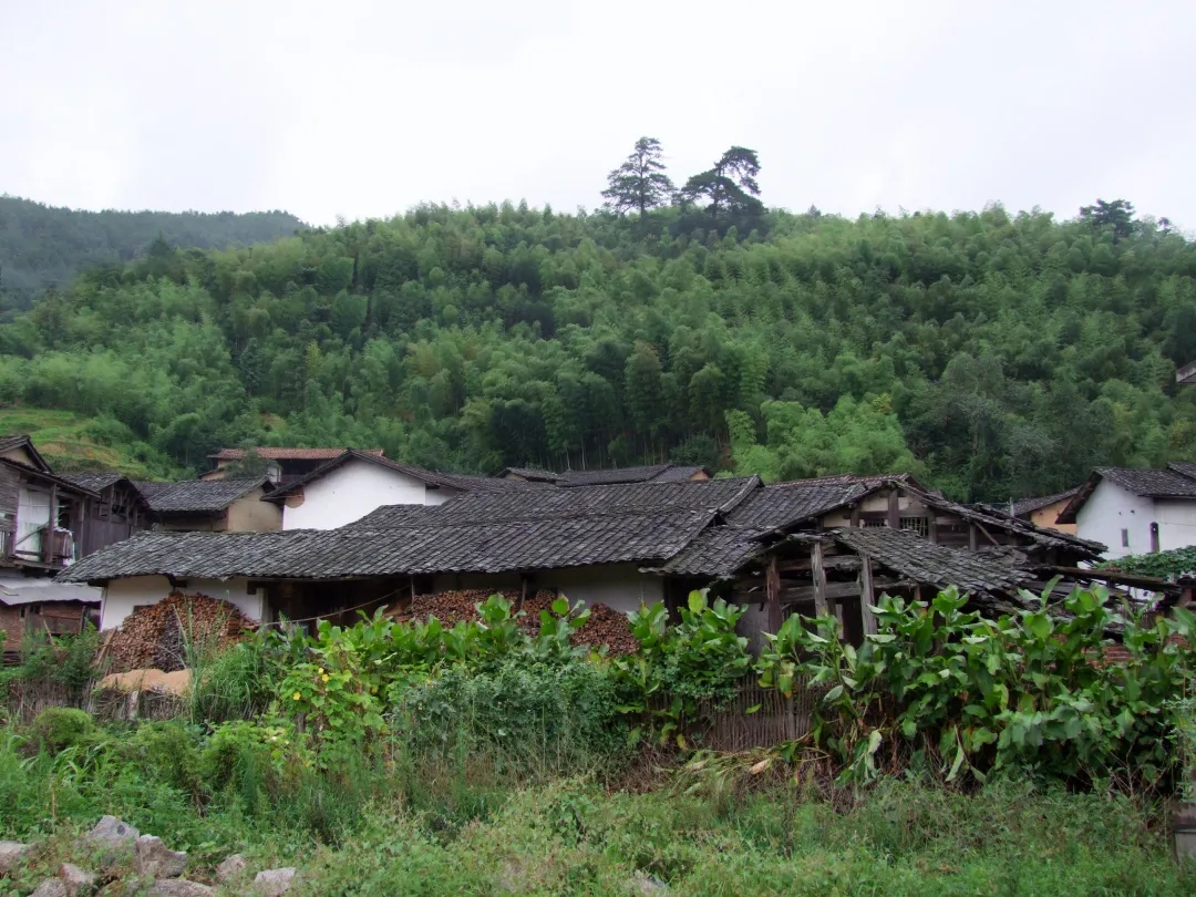 1644397356983297.jpg 1644397356983297.jpg